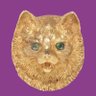 Benjamin Arnold's profile picture