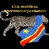 Profilbild von Lueur d'espoir pour un Congo nouveau