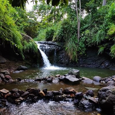 Cascada Estacional Cerro Azul's profile picture