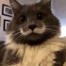 Profilbild von Vlad