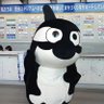 やすモノ 的头像