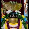 Vivek's profile picture