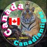 Фото профиля 🇨🇦 Canadiantiger 🍁