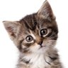 Profilbild von Lola P