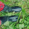 مريم🌾 🚜 🌷's profile picture