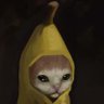 Sir.Aleksandr profil fotoğrafı