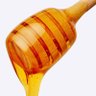 Honey profil fotoğrafı