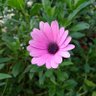 Profilbild von chinita78