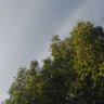 mostafa msr profil fotoğrafı