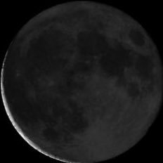 dawnmoon0126's profile picture