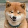ucuyl1's profile picture