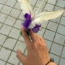 lizhihong 的头像