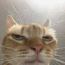 Profilbild von Smug87