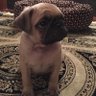 rainmaker profil fotoğrafı