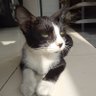 Willy Willy profil fotoğrafı