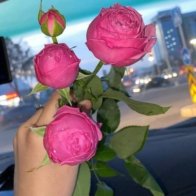 hasnakhaled95's profile picture