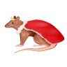 Фото профиля 700 Rats