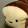 TOAST's profile picture