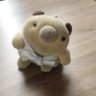 まさちmasachi's profile picture