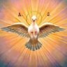 🕊 ONE L🤍VE ✝️✡🕉 的头像