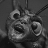 Daemon Ants's profile picture