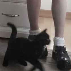 Clairemaryjanez's profile picture