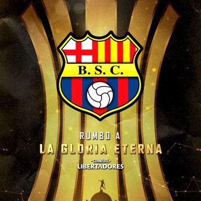 B.S.C's profile picture
