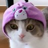 rai's profile picture