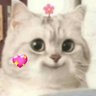 Mamigg's profile picture