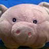 badlittlepig 的头像