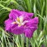 Фото профиля ワシントン