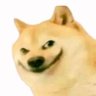 Profilbild von Meme Addict