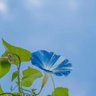 bluuue sky🫧 的头像