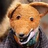 Profilbild von Alan