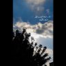 التفاااؤل's profile picture