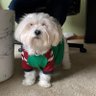 Heidi Why❄️🕯️'s profile picture