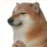 Profilbild von selcplace