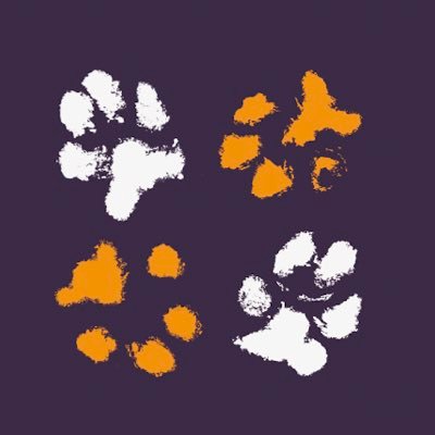 Dogs 4 Rescue's profile picture