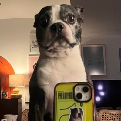 mamiflu's profile picture