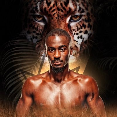WilliamGomisMMA's profile picture