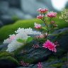 Фото профиля manobilli83