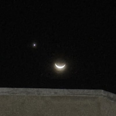 shuushangshang's profile picture