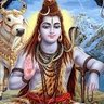 Фото профиля Nilesh बटेंगे तो कटेंगे याद रखना सनातनियों