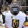 Las Vegas Ape🦍's profile picture