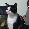 masbro radean profil fotoğrafı