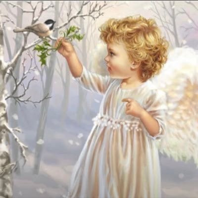 8wqIGH20IbdtwRS's profile picture