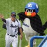 さくら 的头像