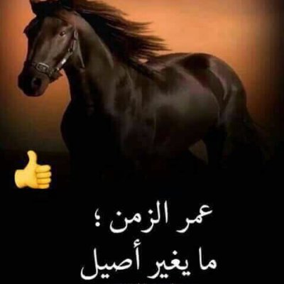 gggg34150910's profile picture