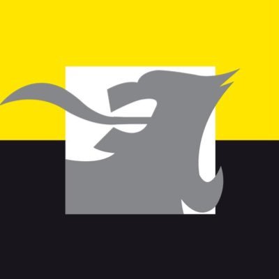 Vlaams Belang's profile picture
