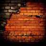 Profilbild von THE WALL